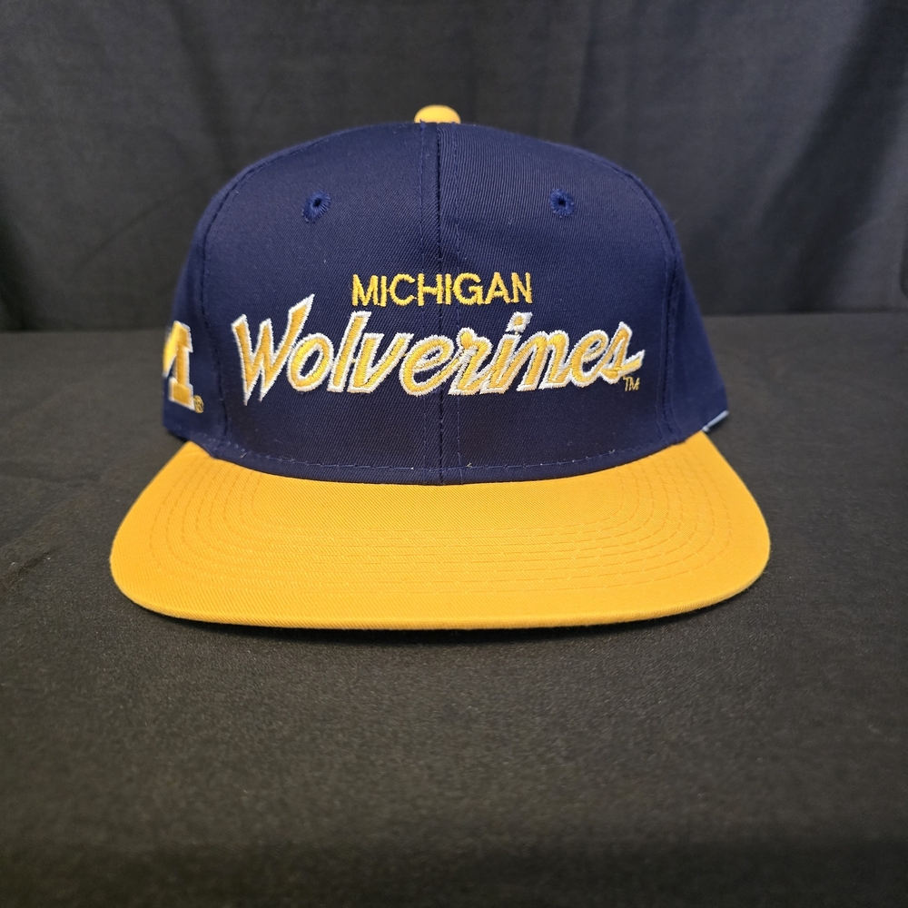 Michigan Wolverines Blue and Yellow Cap